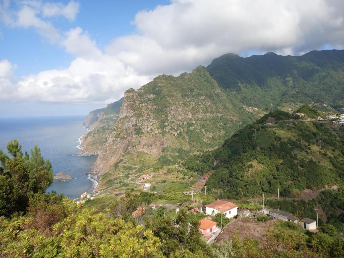 Lazy Lizard By The Ocean Seixal (Madeira)