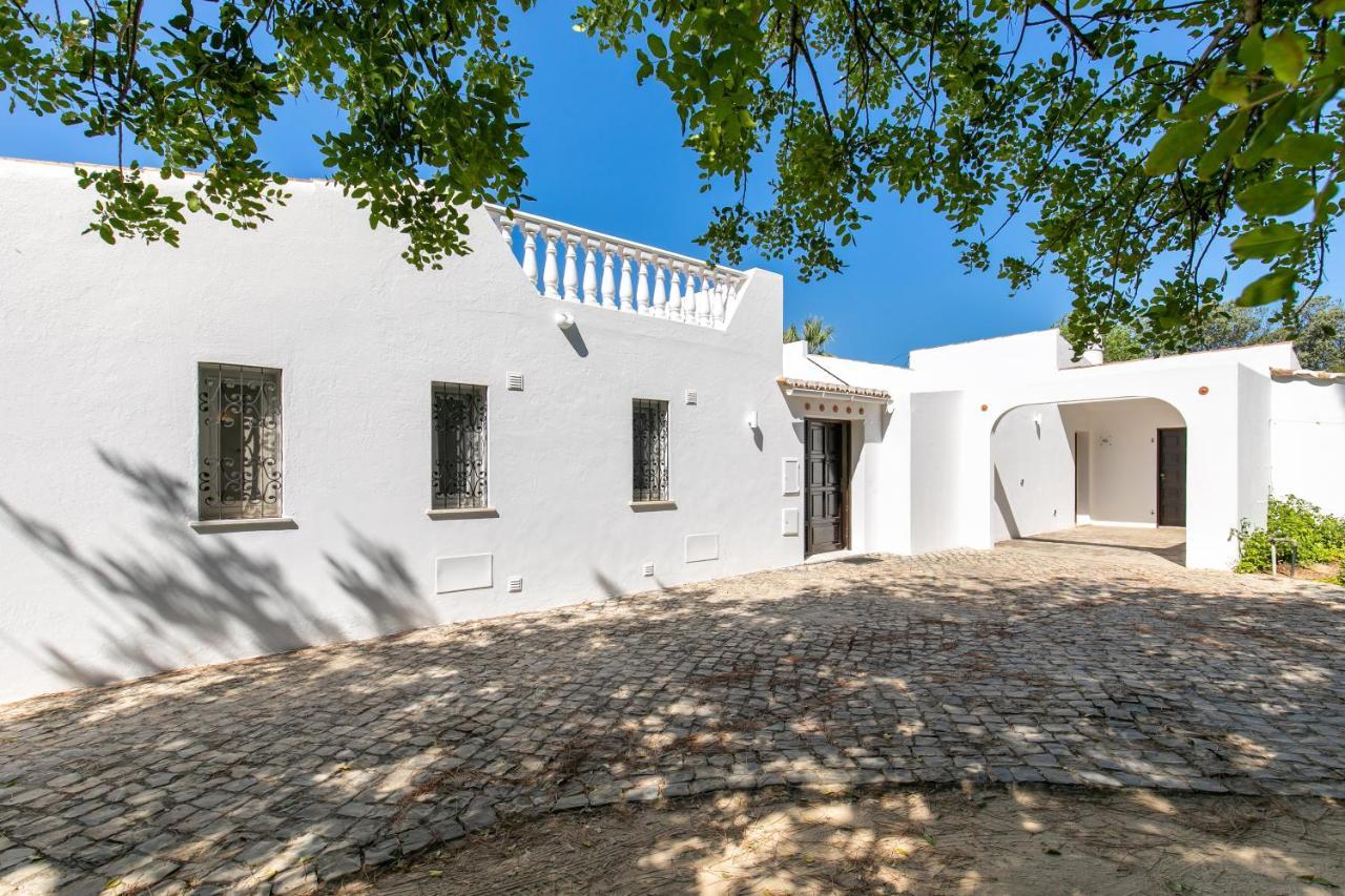 Saragoca Loule