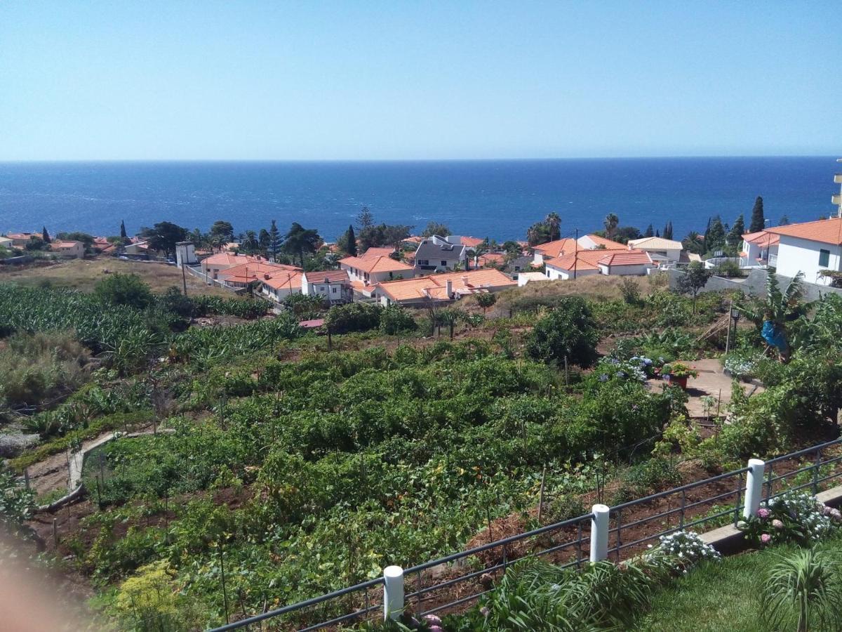 House Canico (Madeira)