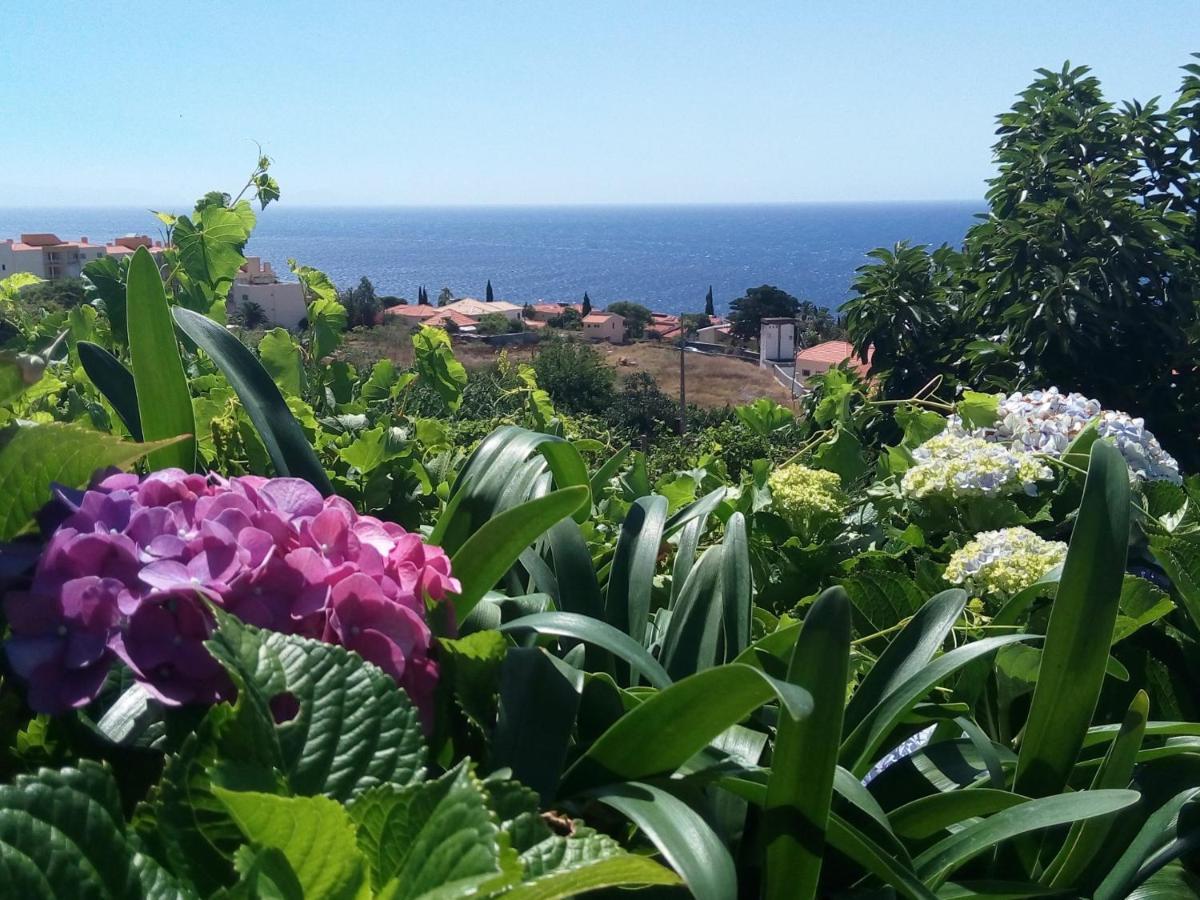 House Apartment Canico (Madeira)