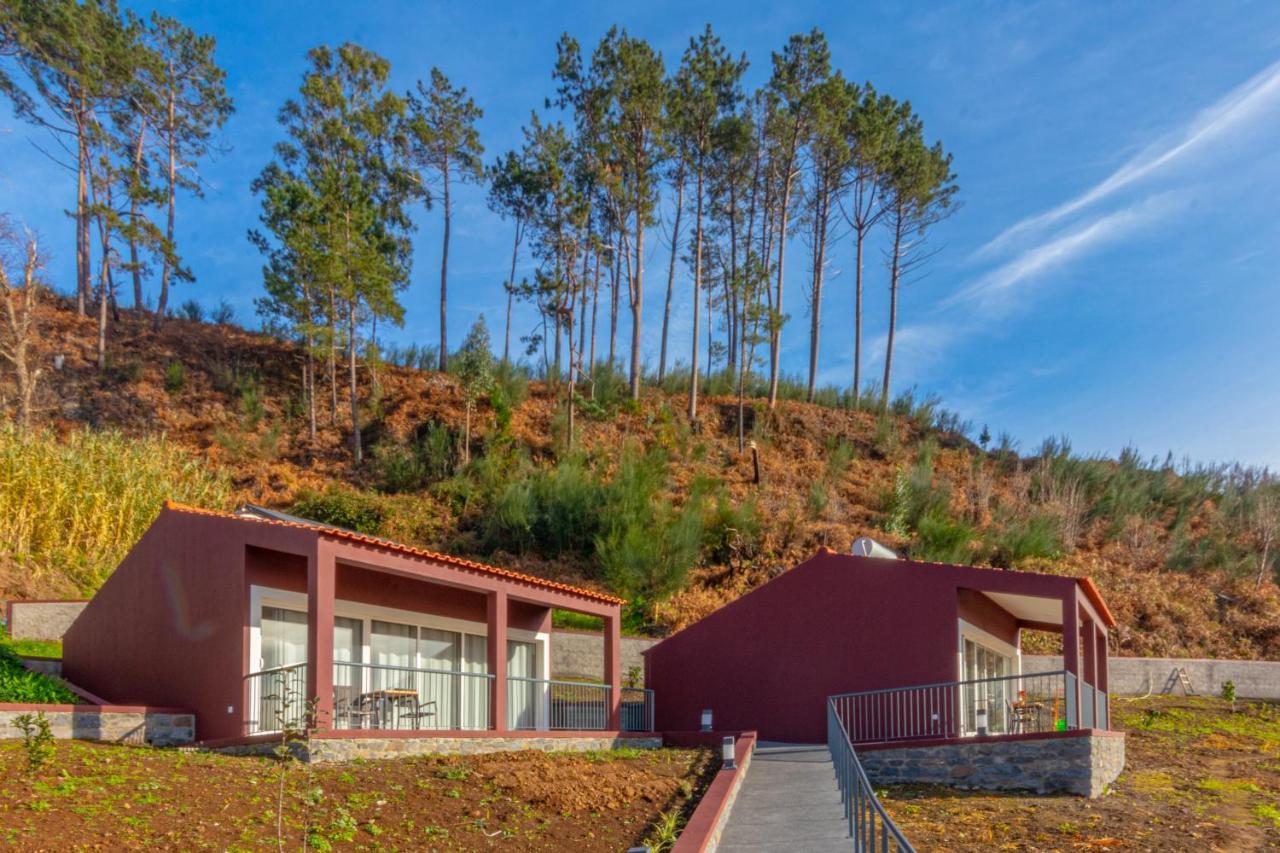 Holiday home Palheiro T1 Caminho Do Verde Calheta (Madeira)
