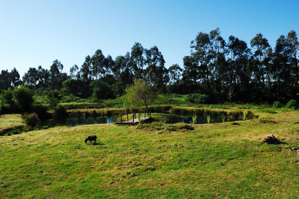 Casa Da Seiceira