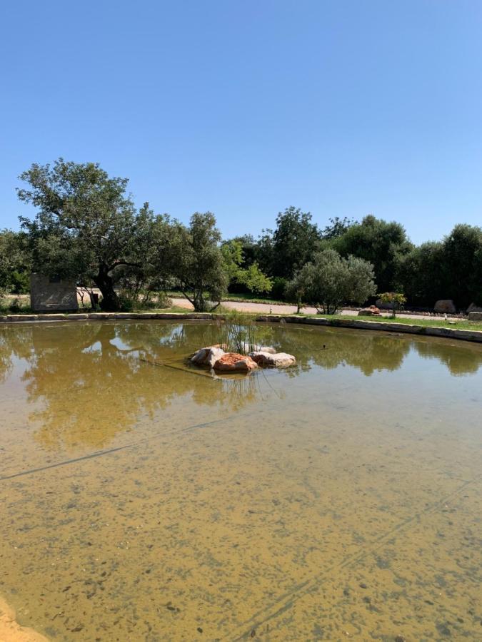 Country house Casa Branca Tavira