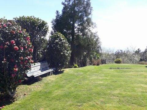 Luxury Camelia. Mountains, Golf, Horses, Levada Walks. * Santo Antonio da Serra