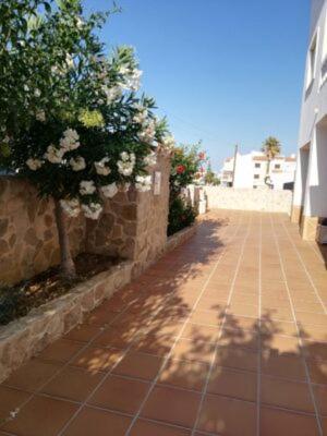 Apartment Atlantico *