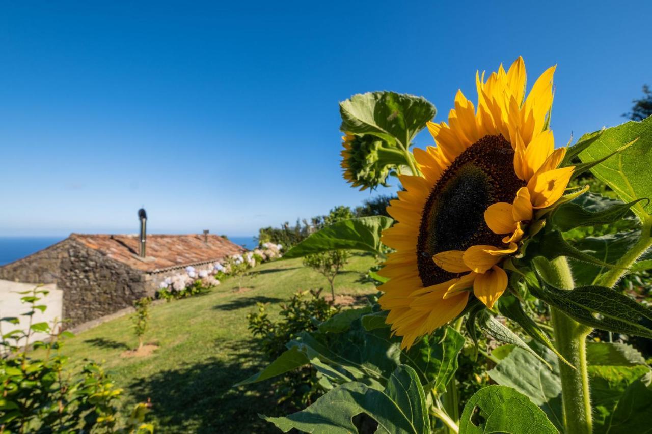 Casa Do Castanheiro - Nordeste, Acores Nordeste (Azores)