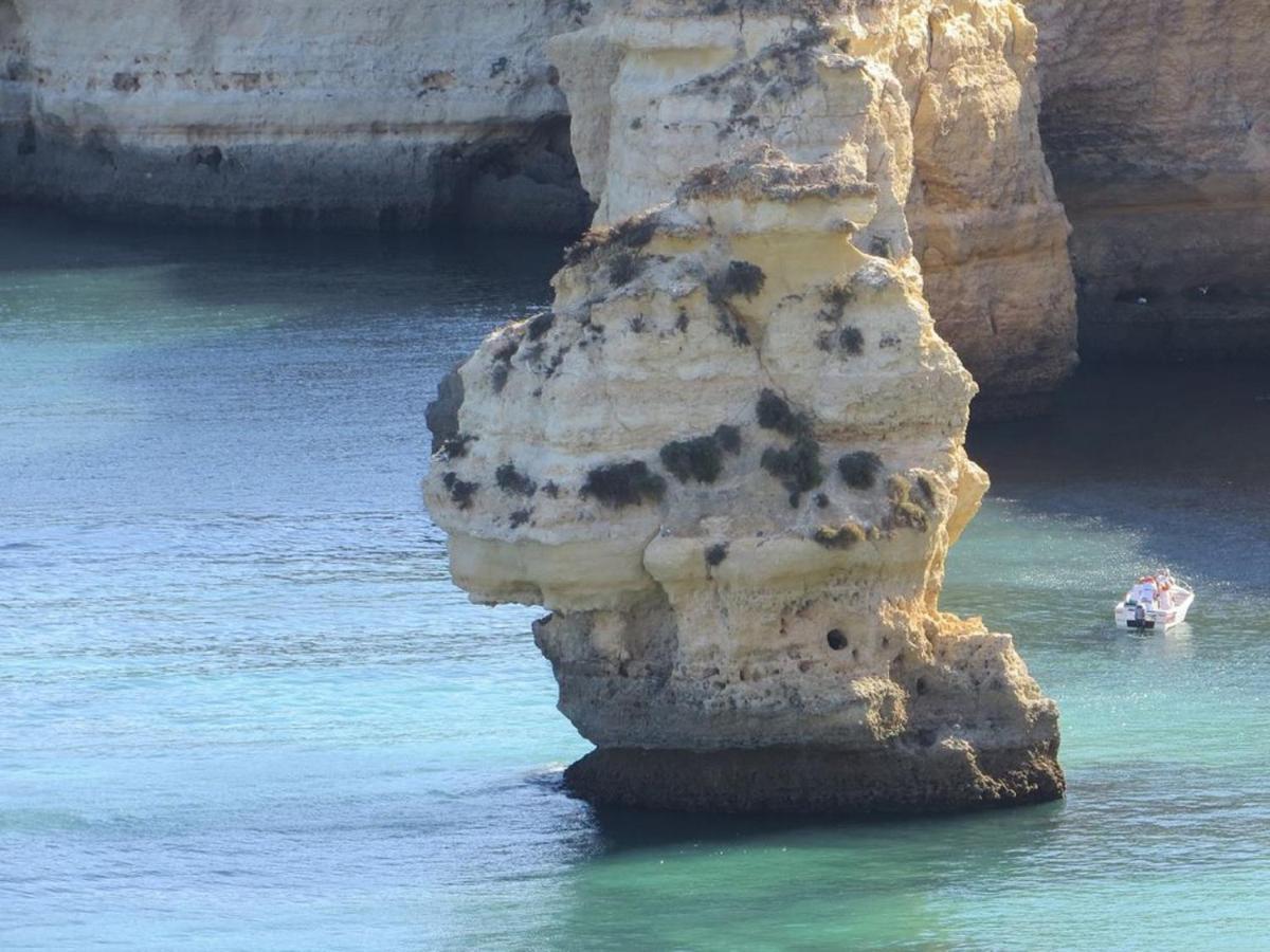 Ocean Terraces By Gaivota D *