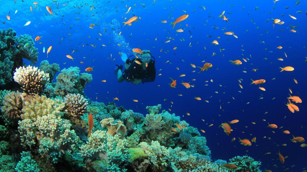 Mar Azul 3*