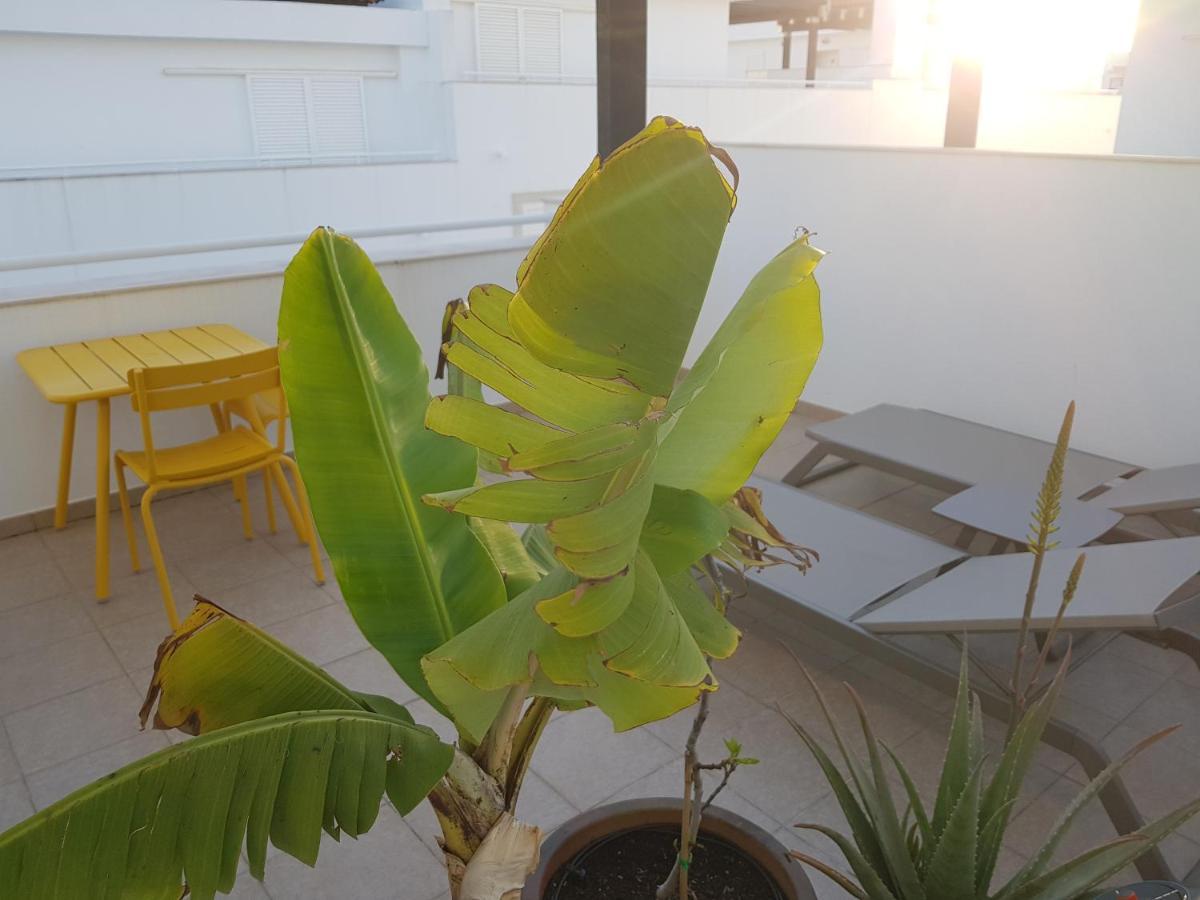 Appartement Penthouse Puro *