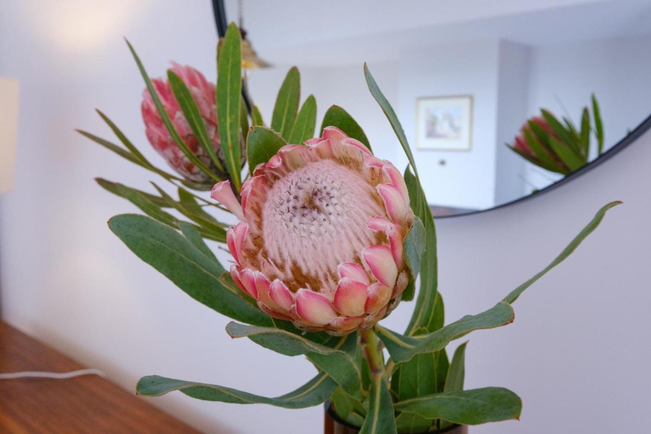 Garajau House - Sunrise To Sunset Ocean View Holiday home *