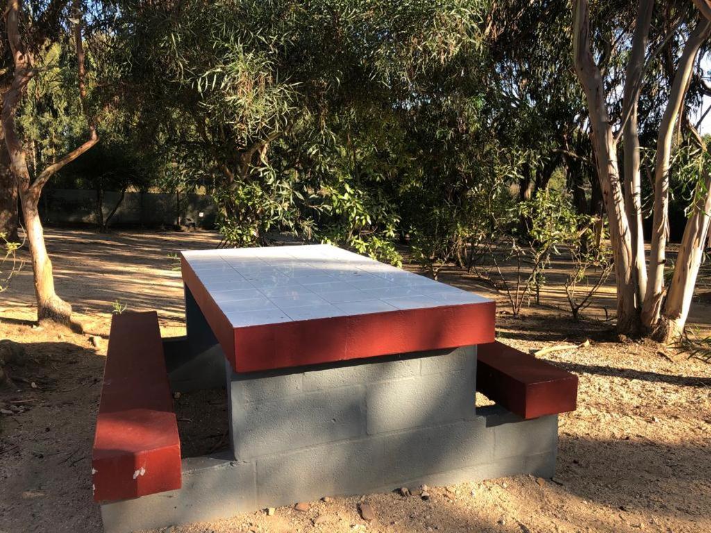 Park Campsite