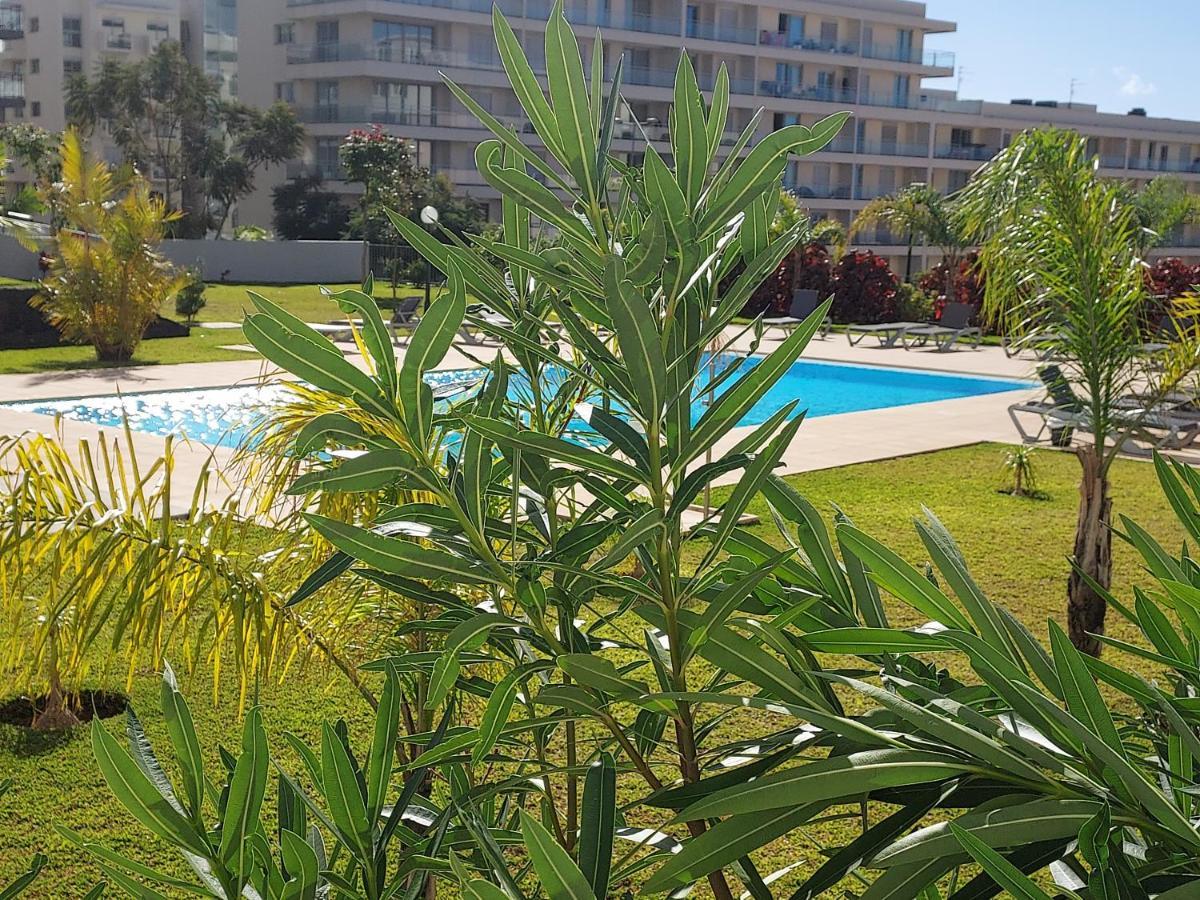 Getaway To Blue Paradise At Madeira Island Apartamento