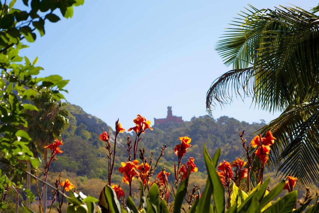 Casa Do Valle Sintra