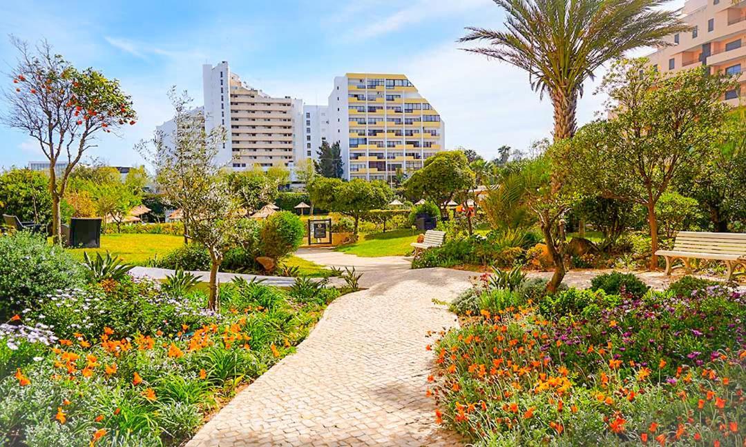 T2 Club Amarilis -