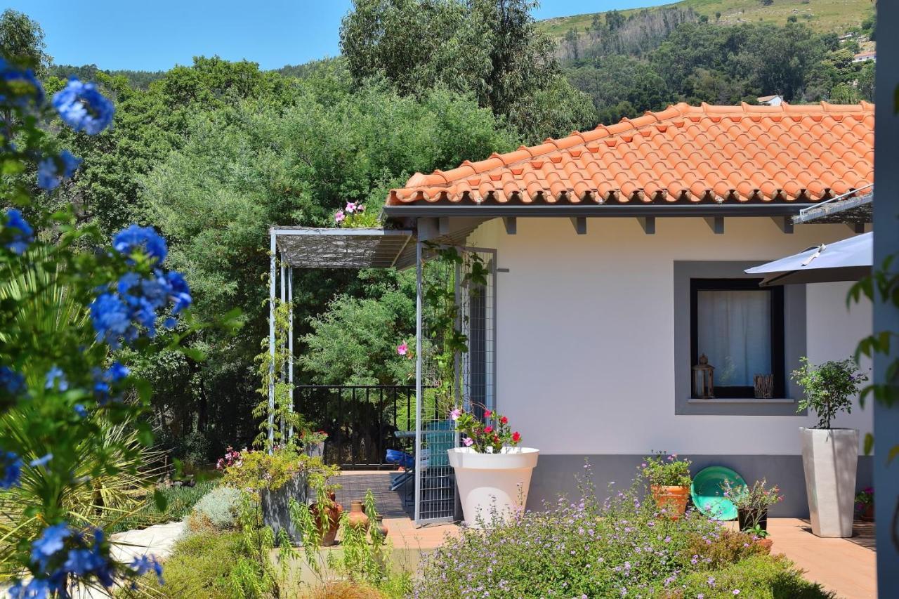Pirilampo Apartamento