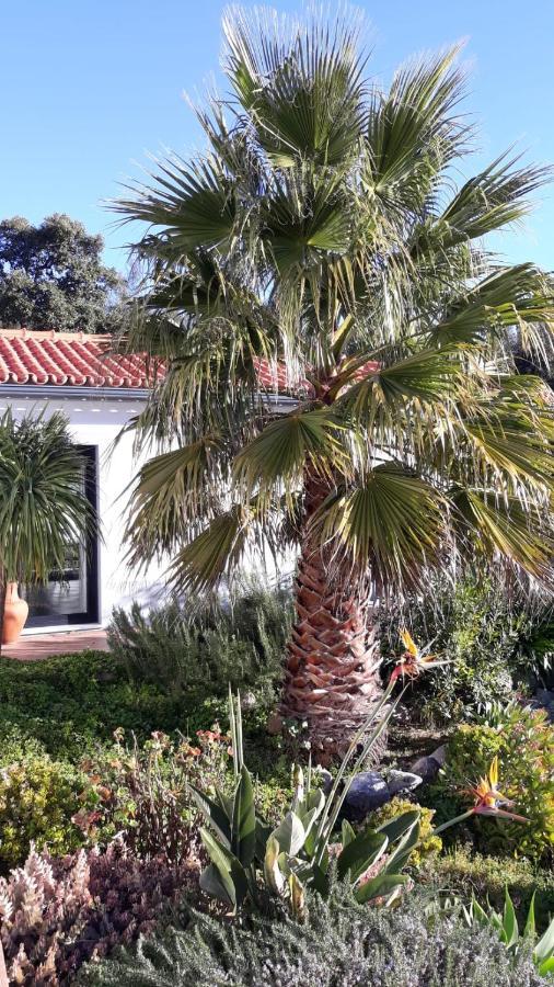 Apartamento Pirilampo