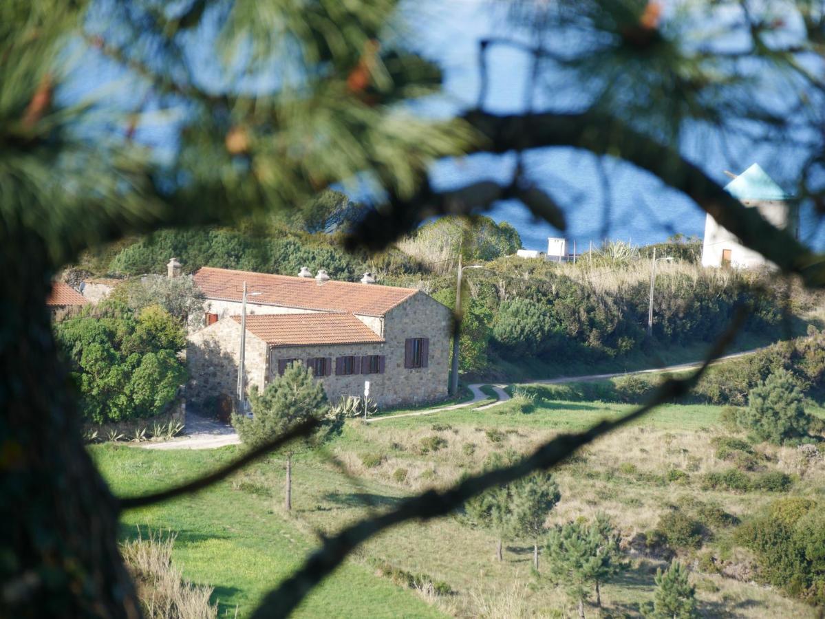 Pines Of Salgado Beachview By Book Yourholiday Pt * Nazare