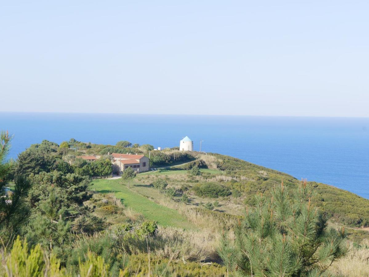 Pines Of Salgado Beachview By Book Yourholiday Pt Nazare