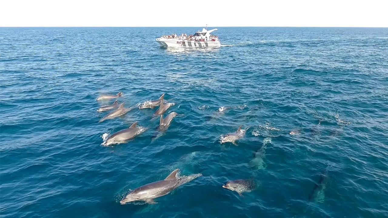 Acomodação com café da manhã  Vista Mar Piscina