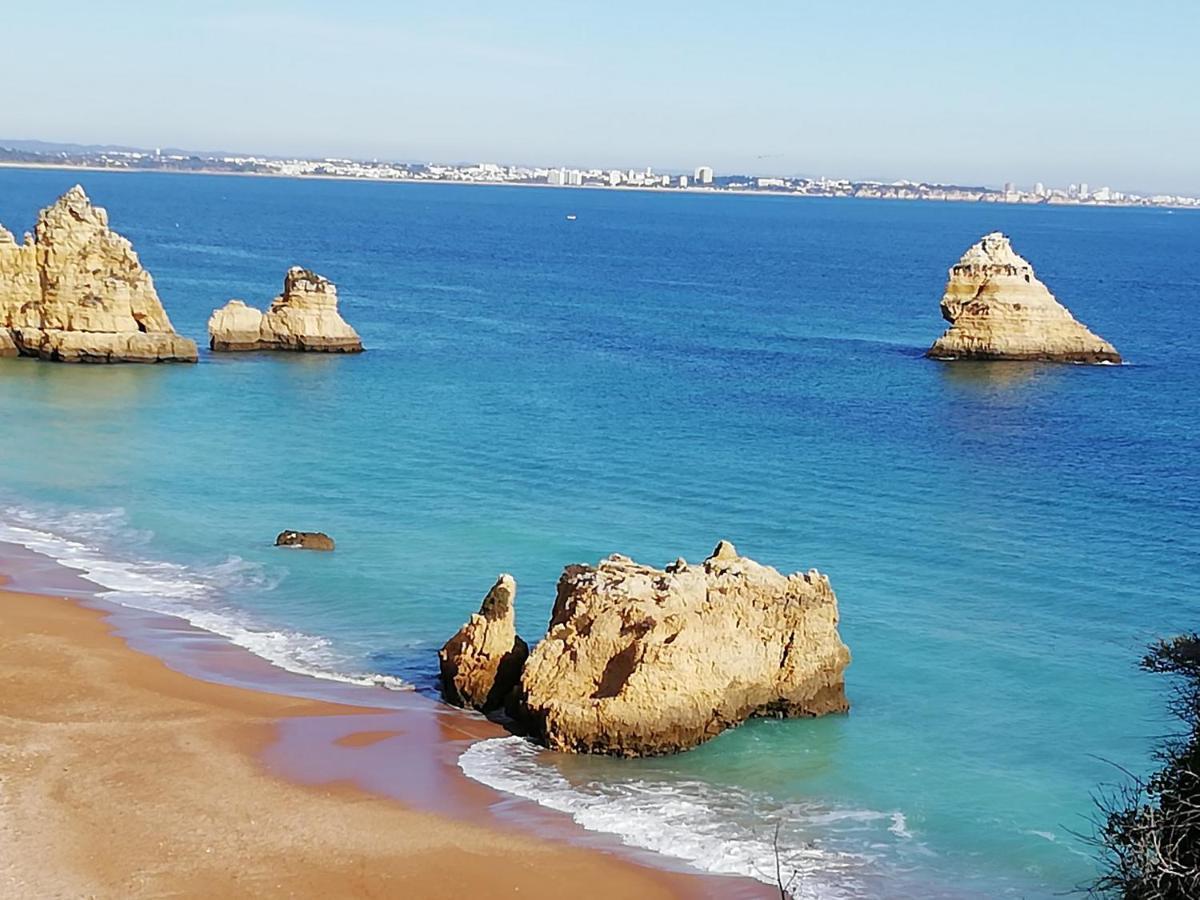 Holiday home Marreiro's House Algarve - Child Friendy - Private Pool