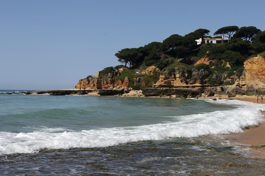 Bed & Breakfast Mira Parque Albufeira