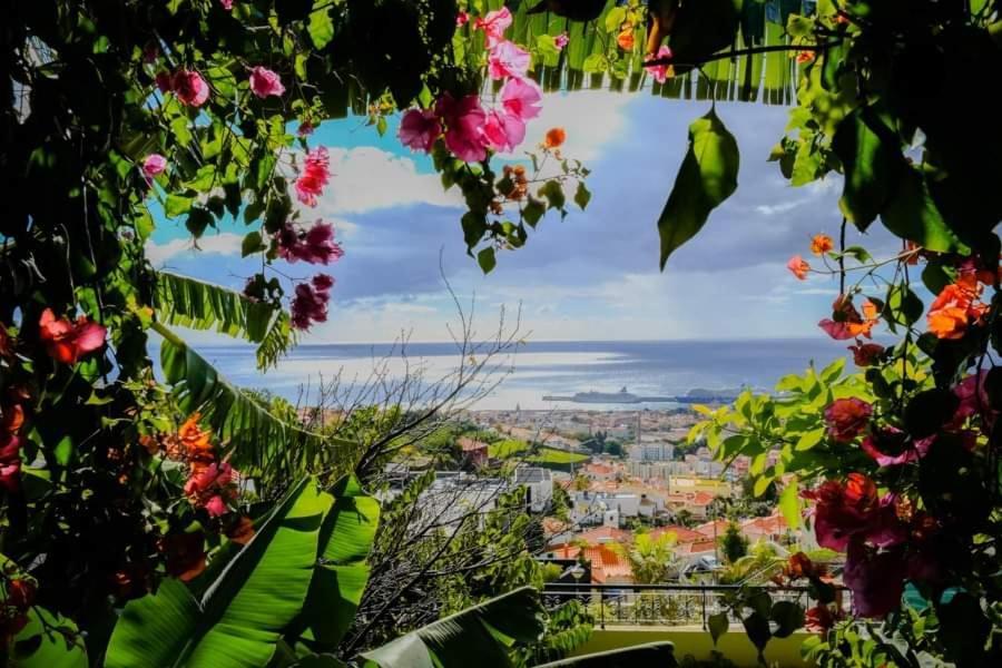 Granny's House View Vakantiehuis *
