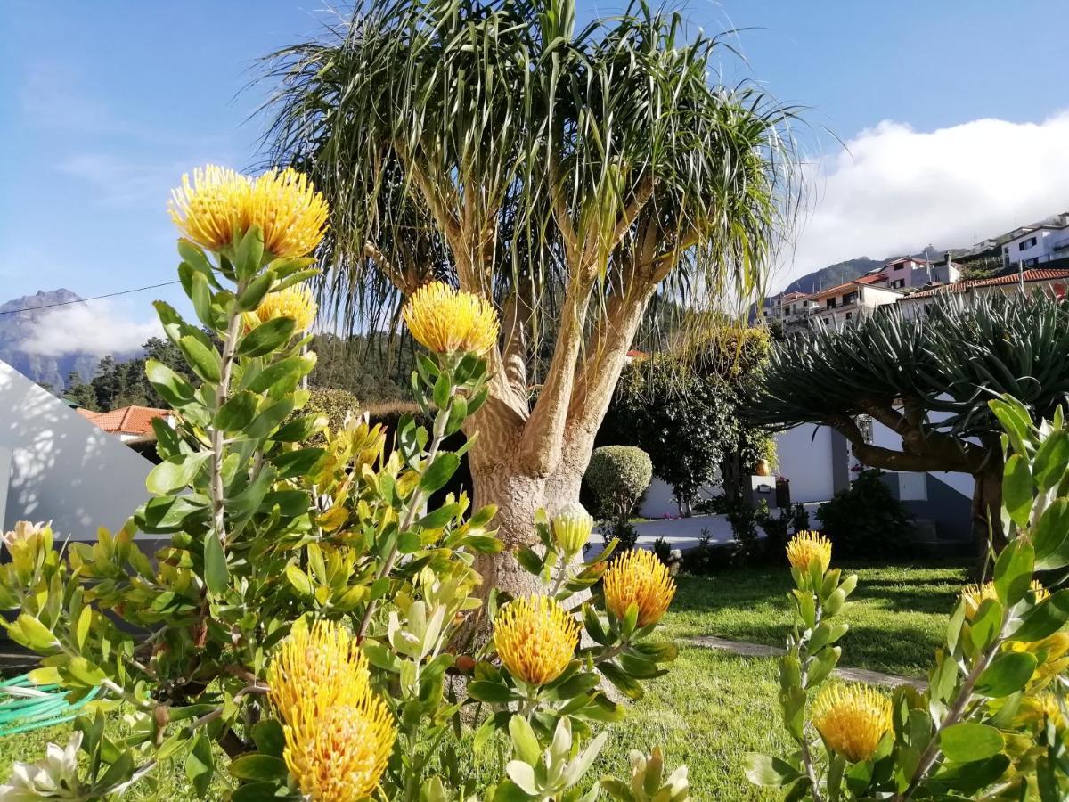 Granny's Farm * Sao Vicente (Madeira)