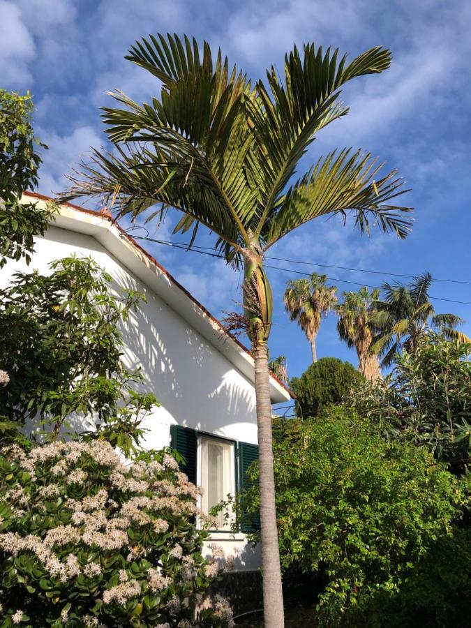 Holiday home Casa Palmeira - Mit Meerblick *