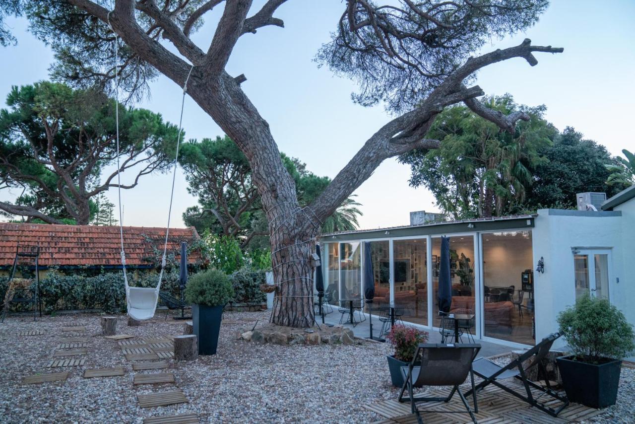 A House In - Adults Only Estoril
