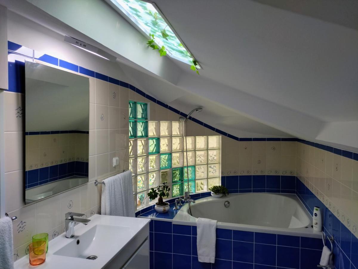 Attic Bay Apartment Camara de Lobos