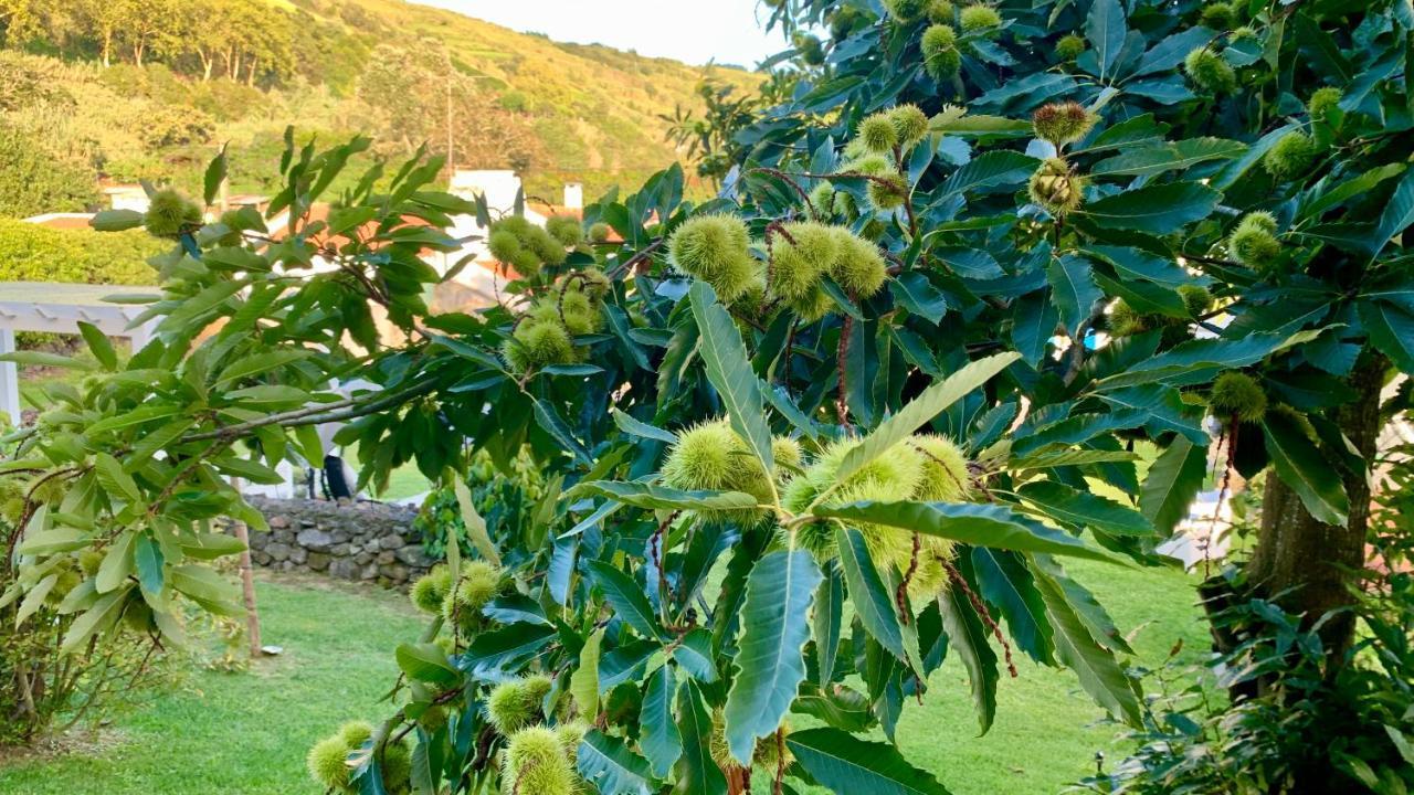 Casa Do Acor - Villaverde Azores Holiday home Feteiras