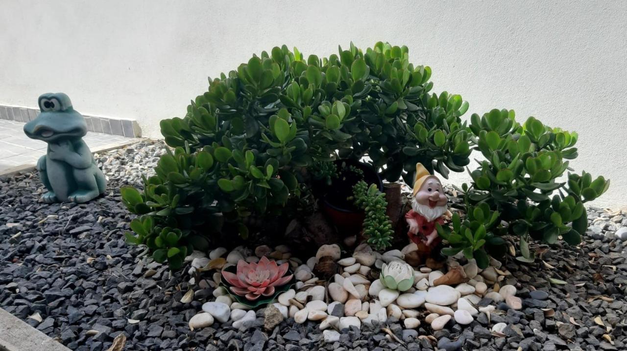 Apartamento Casa D' Avo Zeza *