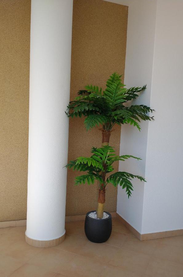 Apartment Casa Luna Lagos