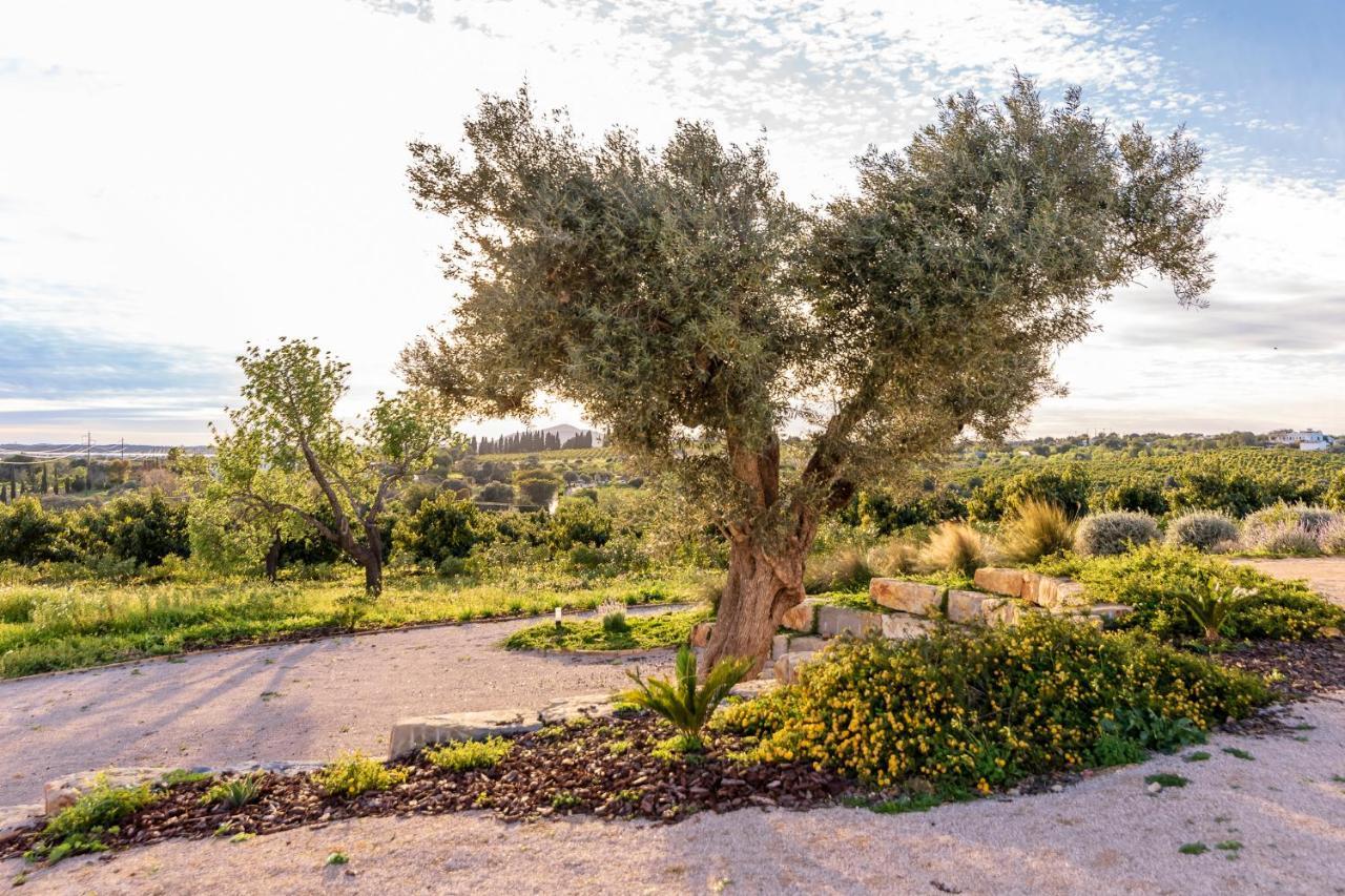 Quinta Da Baleeira Сasa de vacaciones Tavira