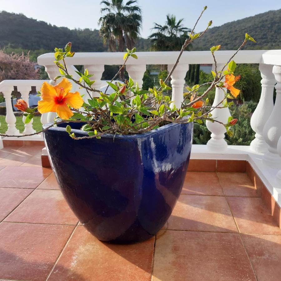 Bed & Breakfast Entrecolinas *