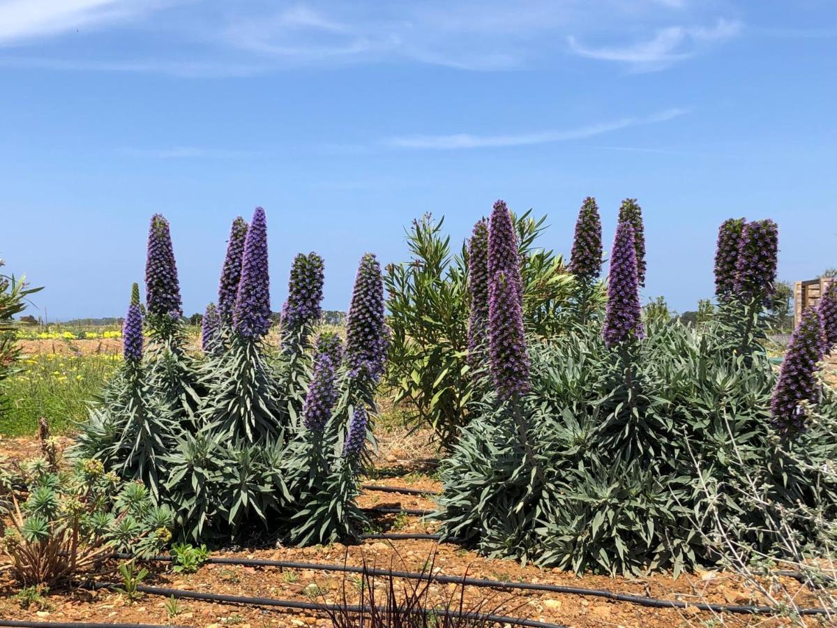 Holiday home Quinta Do Planalto Vicentino - *