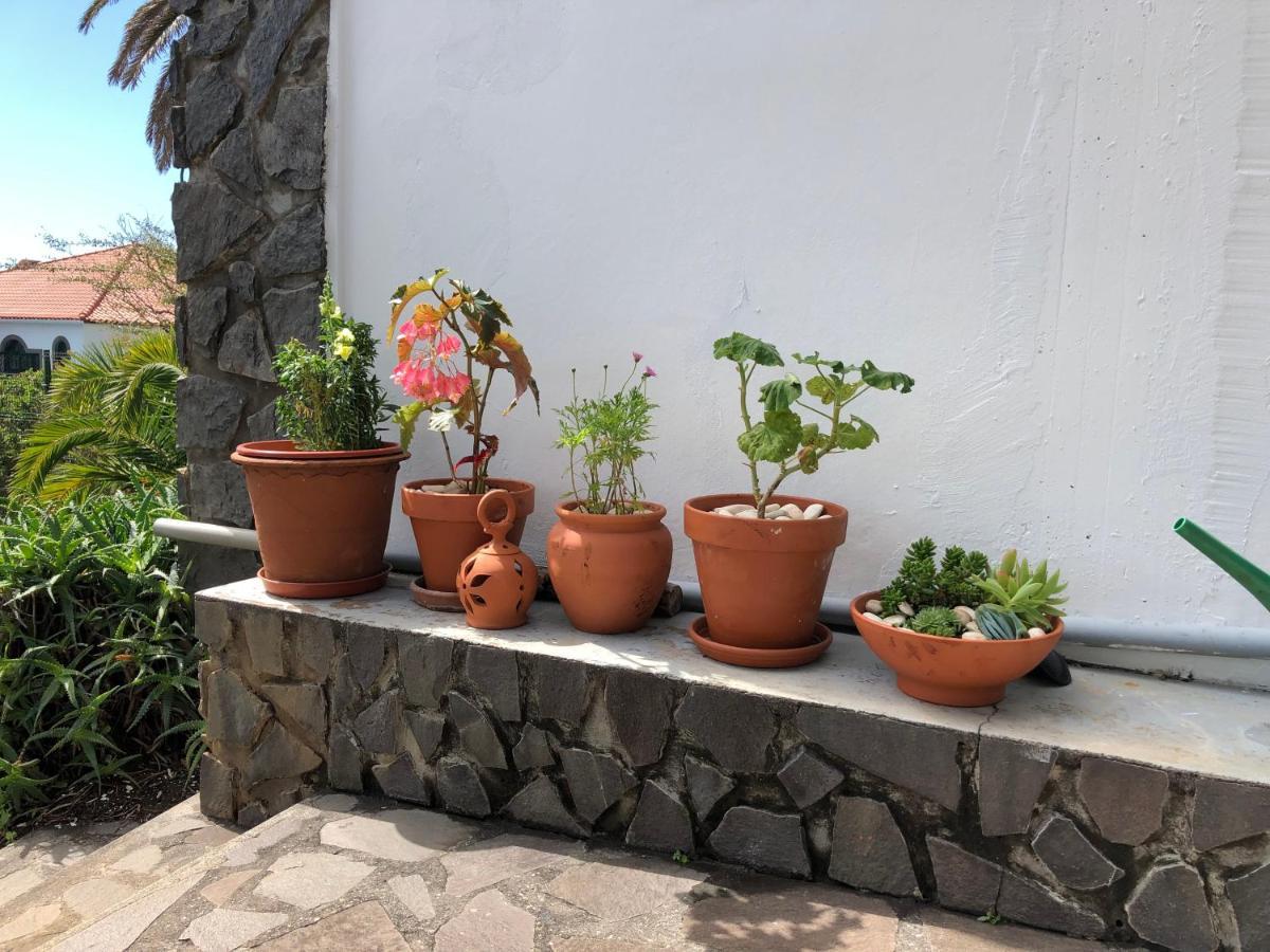 Casa Palmeira - Mit Meerblick Holiday home Canico (Madeira)