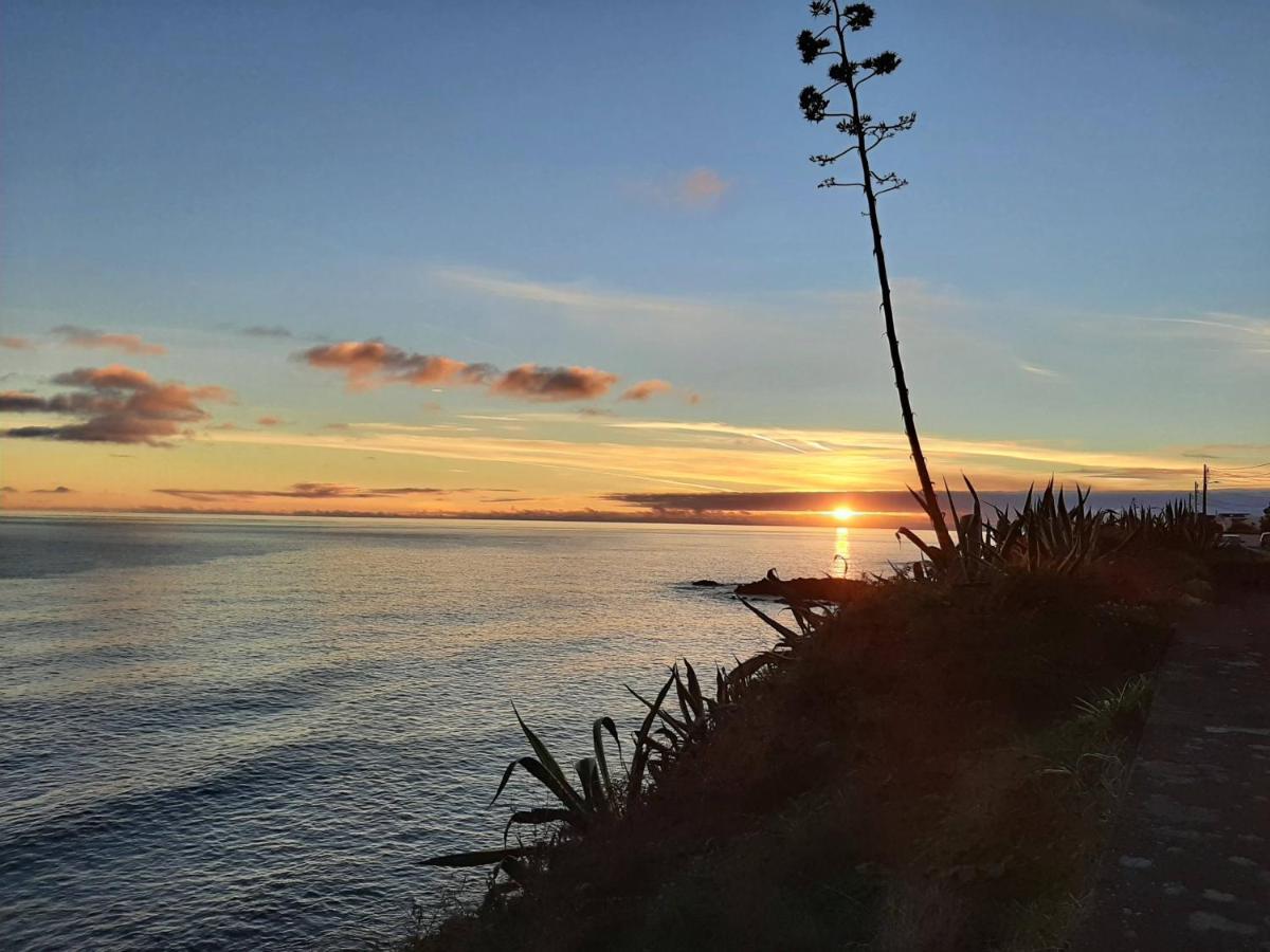 Holiday home Nikau - Garden By The Sea *