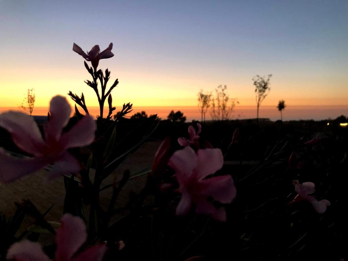 Holiday home Quinta Do Planalto Vicentino - *