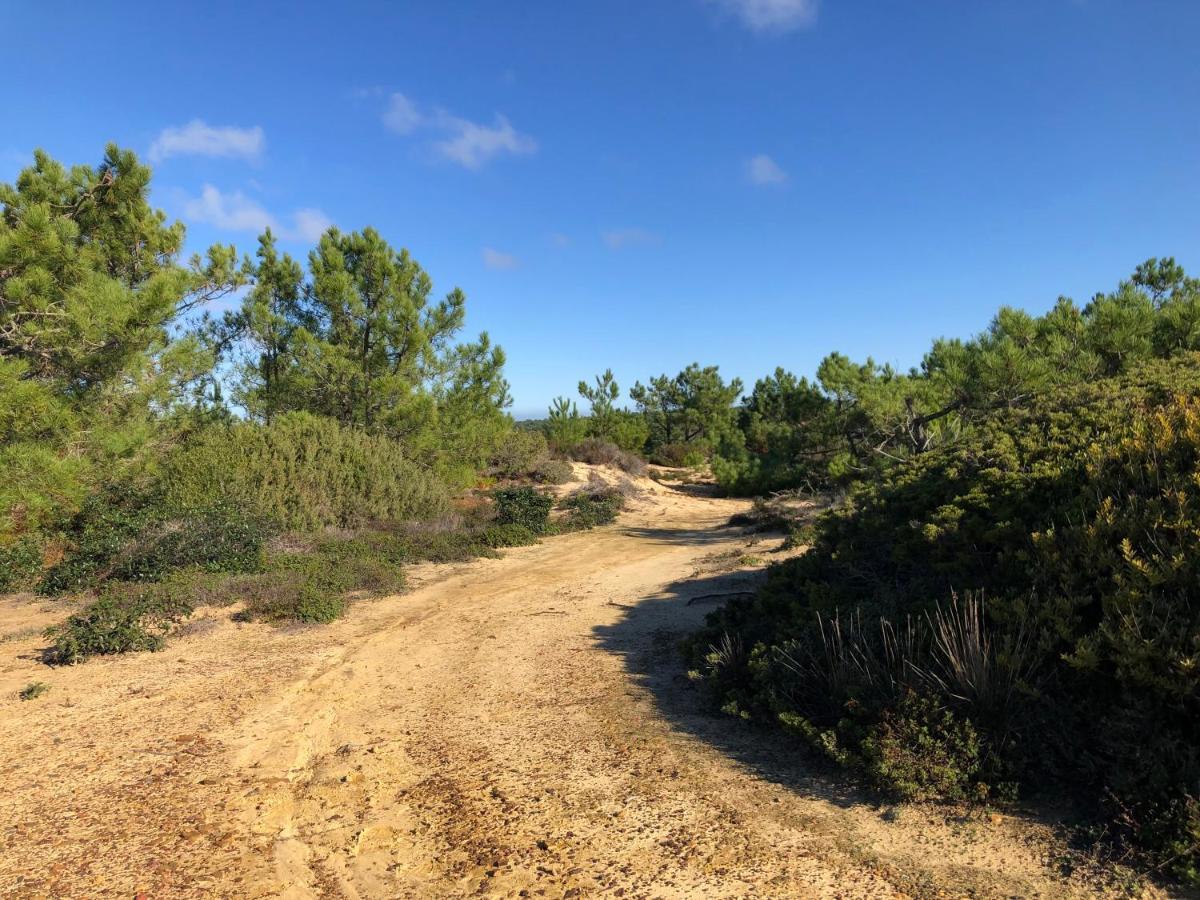 Holiday home Quinta Do Planalto Vicentino - Aljezur
