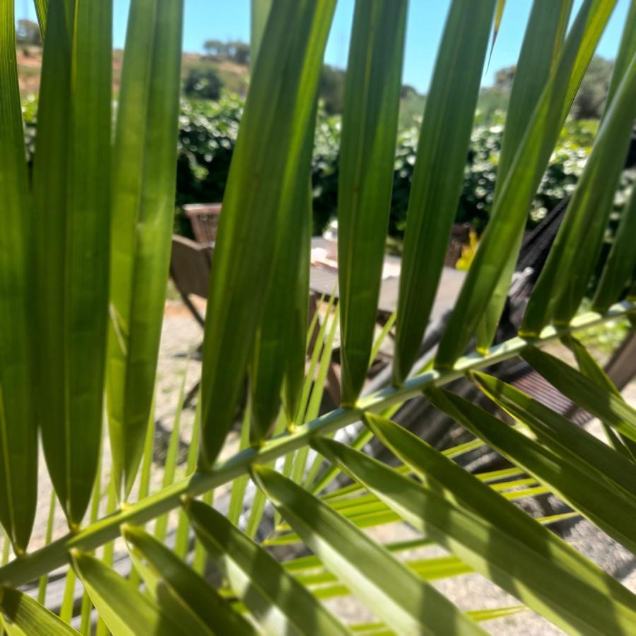Quinta Da Vinha Do Vale Holiday home Castro Marim