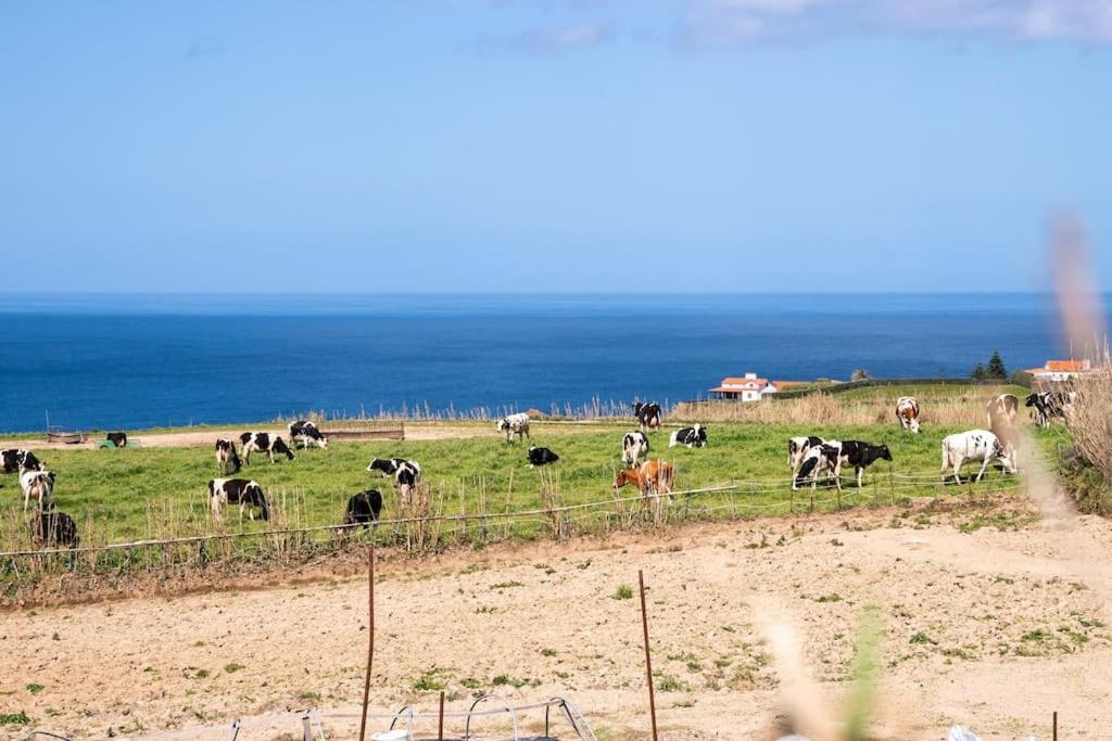 Country house In Azores - S. Miguel Ribeira Grande