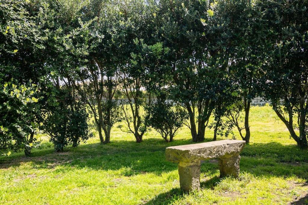 In Azores - S. Miguel Country house *