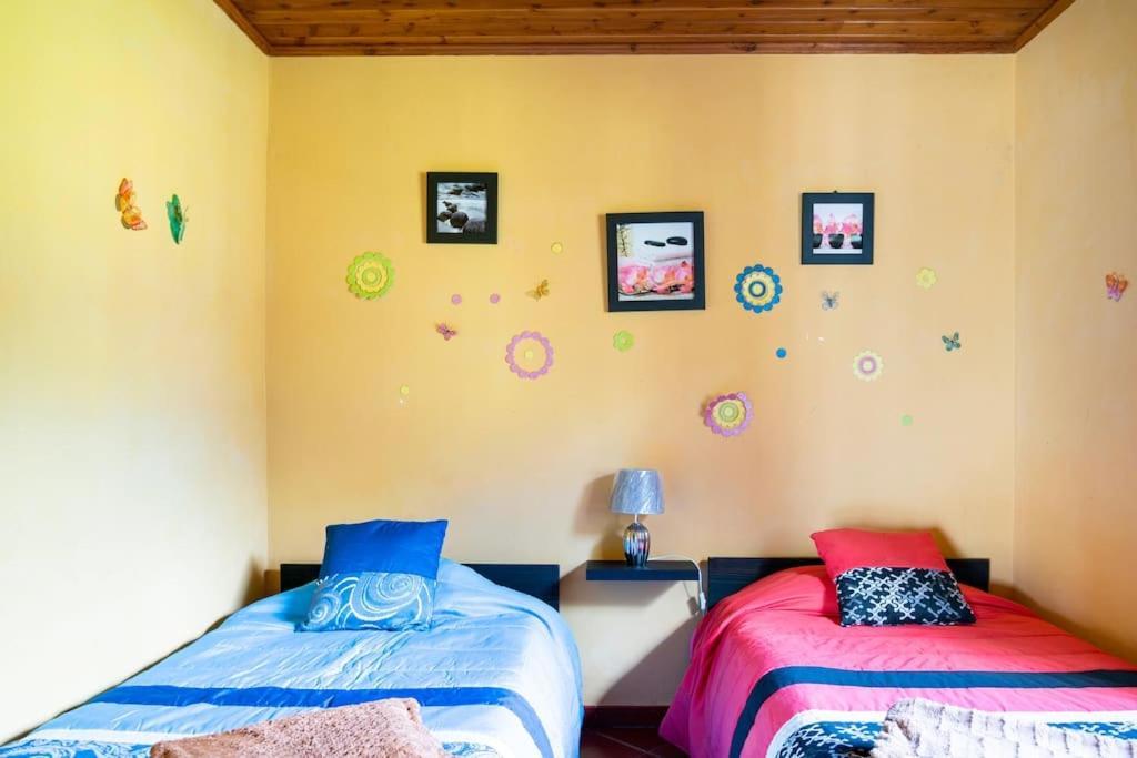Country house In Azores - S. Miguel Ribeira Grande