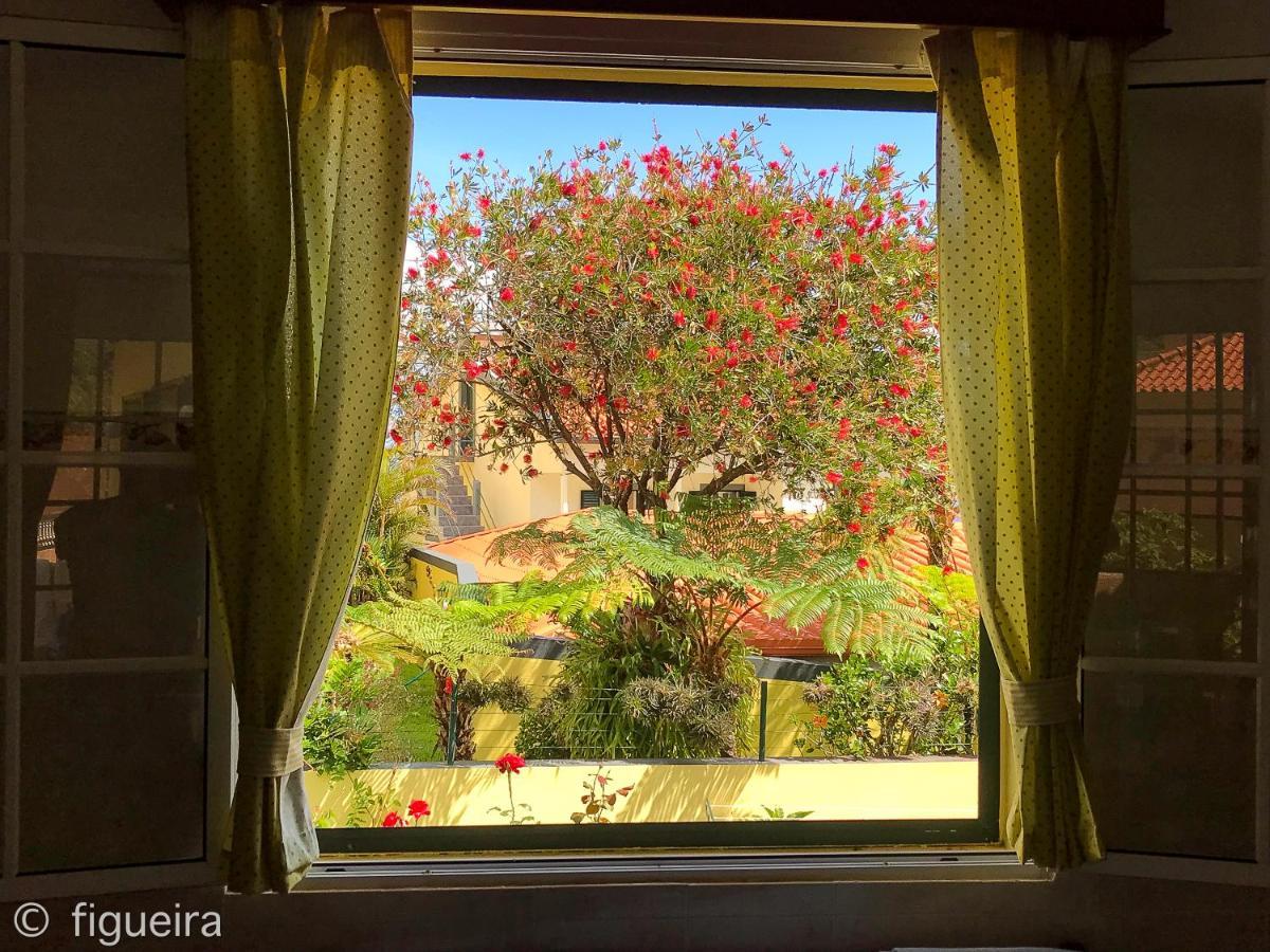 Terra Cha Cottage,feel Home, Casa de férias São Vicente