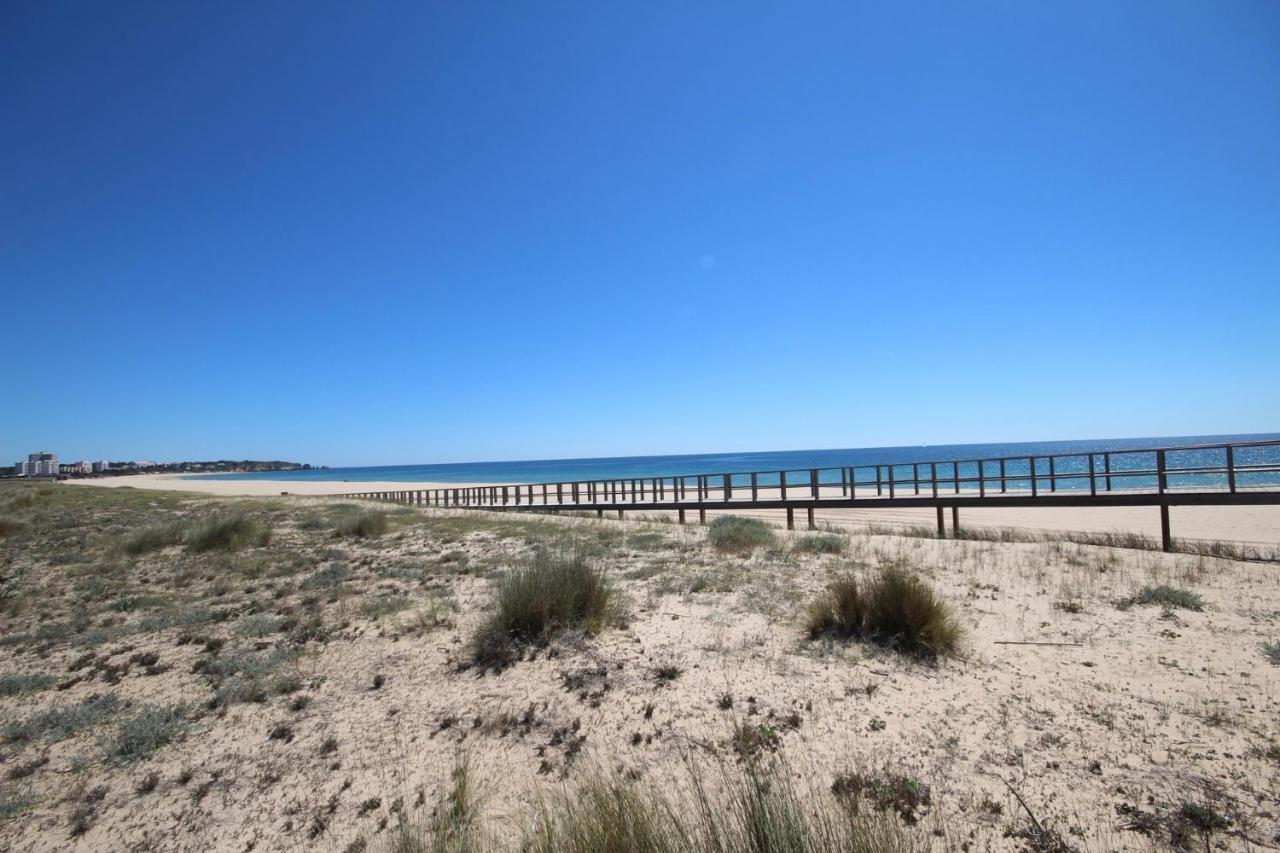 On The Beach By Amcf Alvor