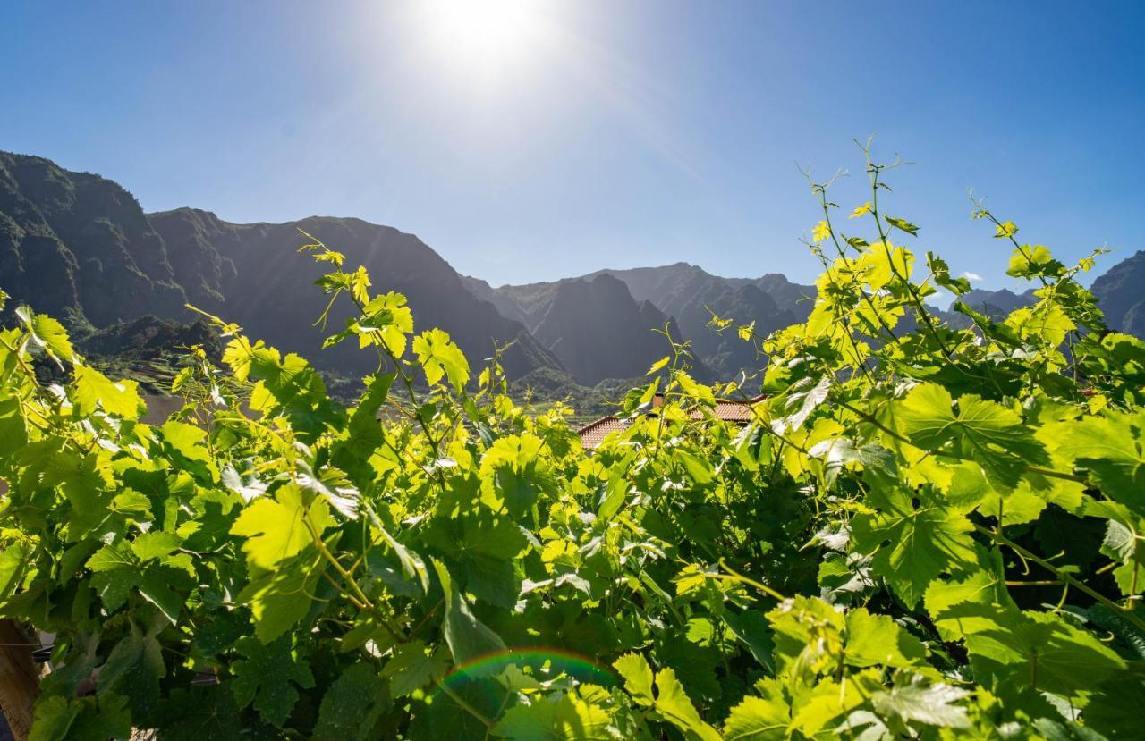 Agroturismo Quinta Vale Vitis *