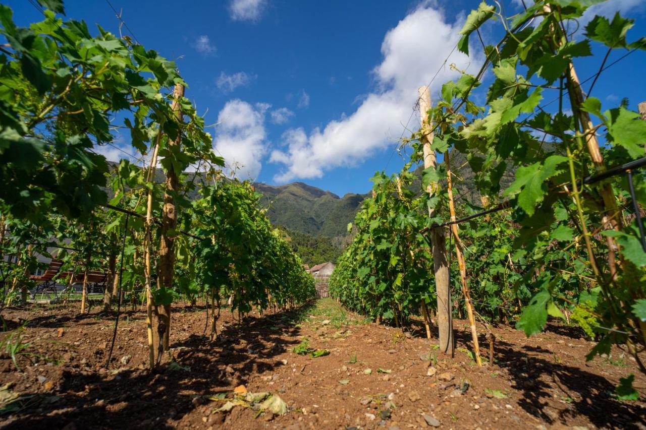 Quinta Vale Vitis *