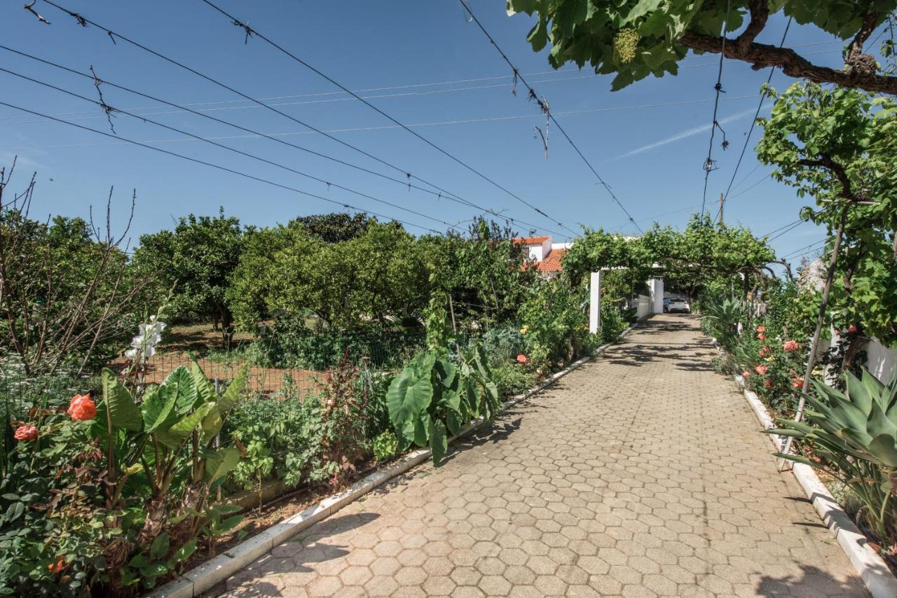 Sao Miguel - Holiday home *