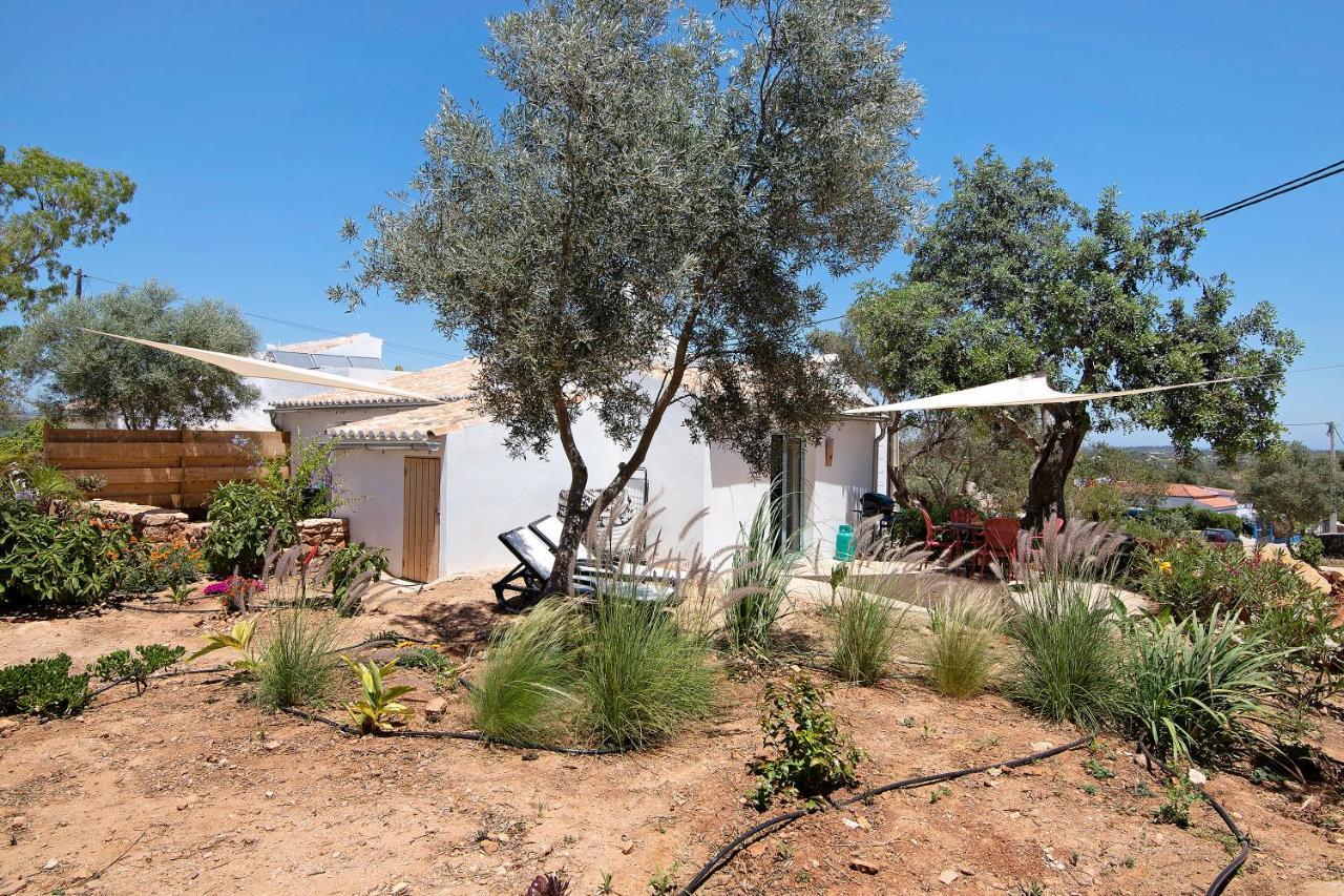 Holiday home Casa Cobra *